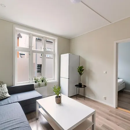 Fin Super Sentralt I 3-2 Apartment Tønsberg