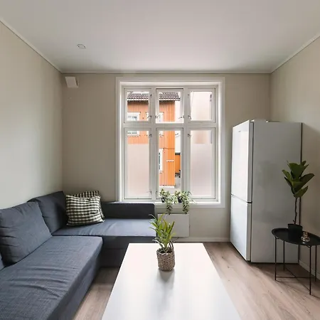 Apartment Fin Super Sentralt I 3-2 *